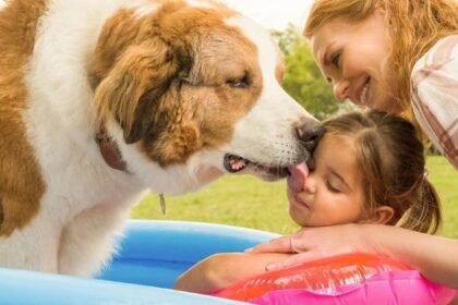 Filmes com Cachorro que Você Precisa Assistir