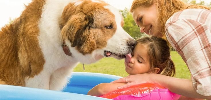 Filmes com Cachorro que Você Precisa Assistir